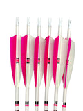 Gold Tip 500 Traditional Classic XT Arrows.