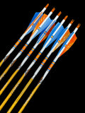 Easton Carbon Legacy arrows