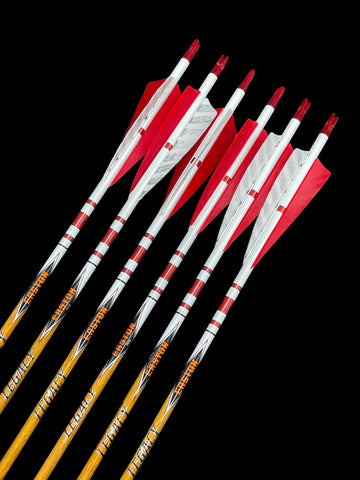 Easton Carbon Legacy Arrows